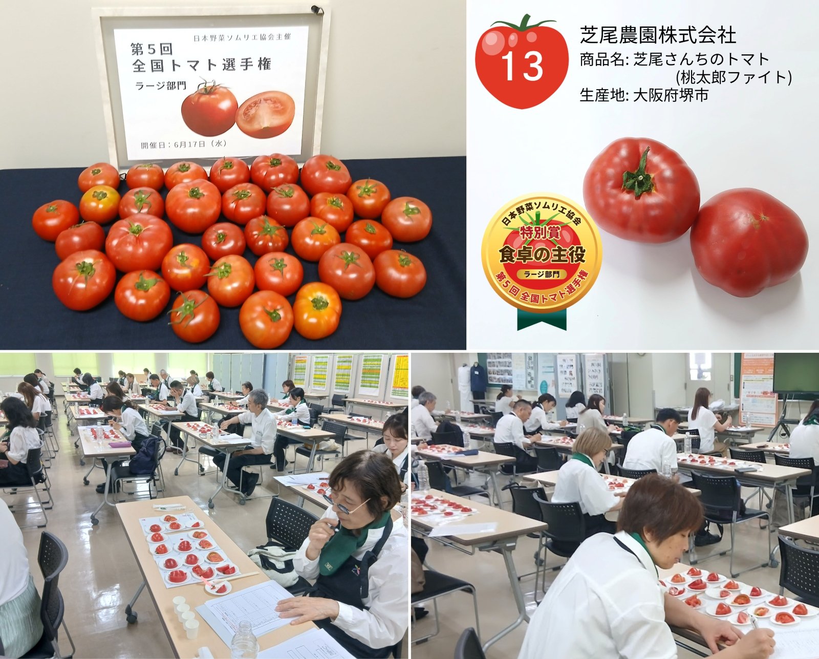第5回全国トマト選手権ラージ部門の出品トマト、芝尾農園株式会社「芝尾さんちのトマト（桃太郎ファイト）」の受賞紹介、審査会場の様子