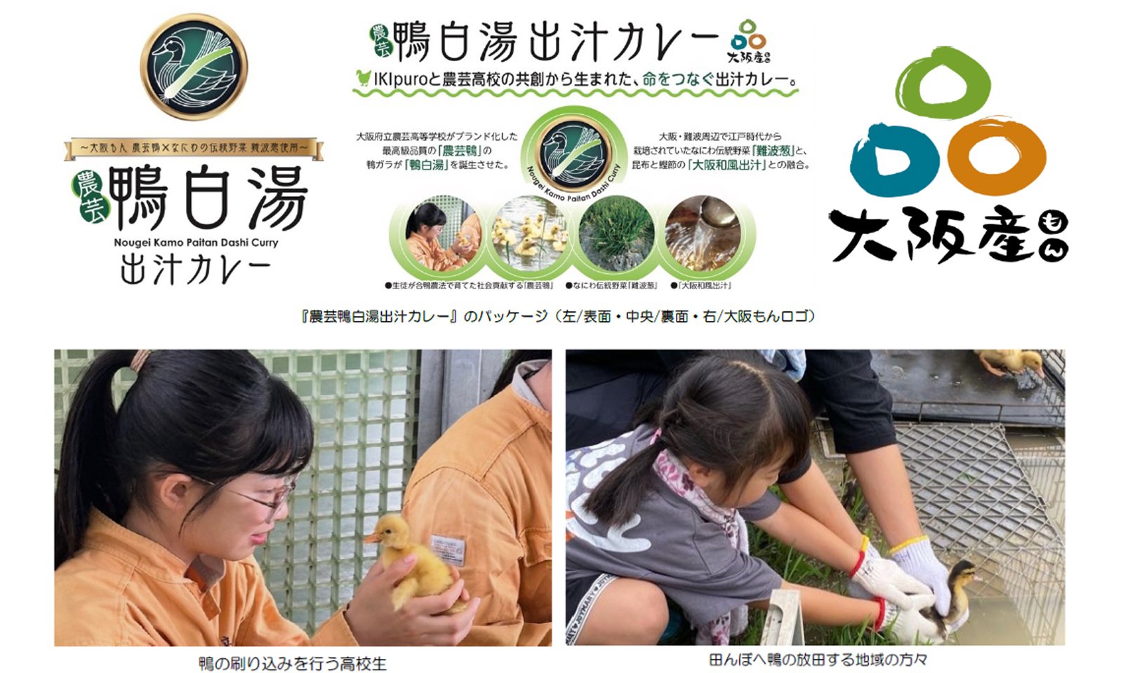 サカイタイムズ本文画像