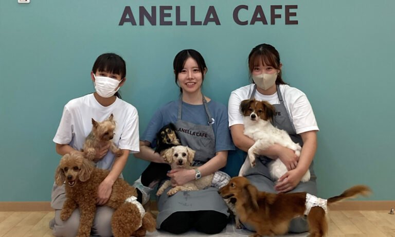 堺区市之町東に保護犬猫カフェ　ANELLA CAFE　7月24日オープン