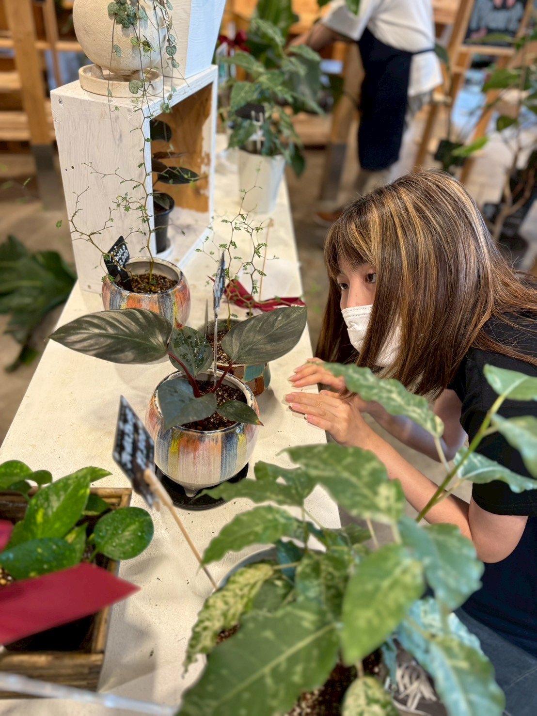 観葉植物を見ている、または管理・販売に関わる場面