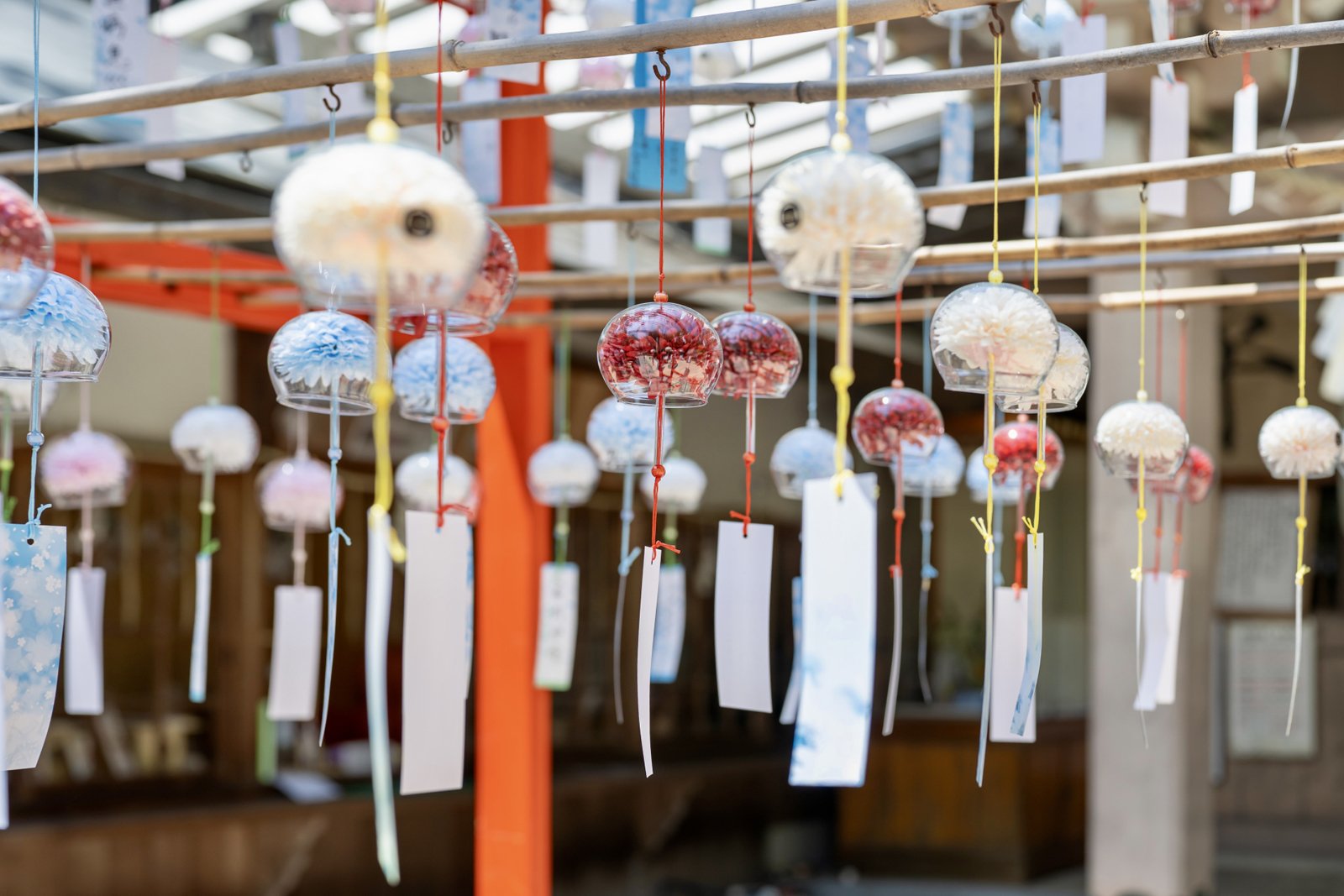 蜂田神社の境内に飾られた色とりどりの風鈴