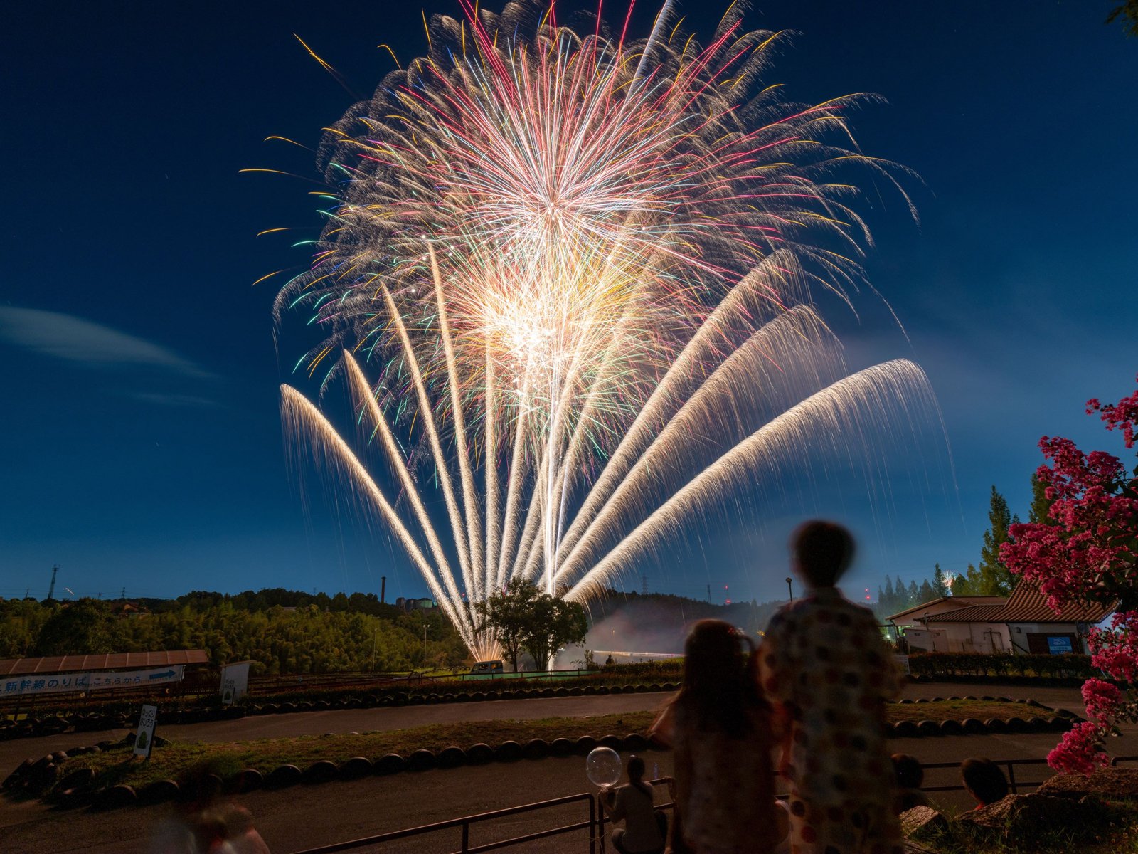 ハーベストの丘の夏祭りで、夜空に打ち上がる花火を家族で見上げる様子