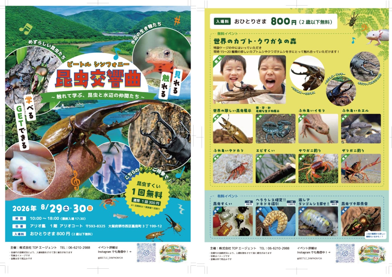 8月29・30日にアリオ鳳で開催する「昆虫交響曲」の案内。カブトムシやクワガタ、イモリなど昆虫と水辺の生き物を紹介