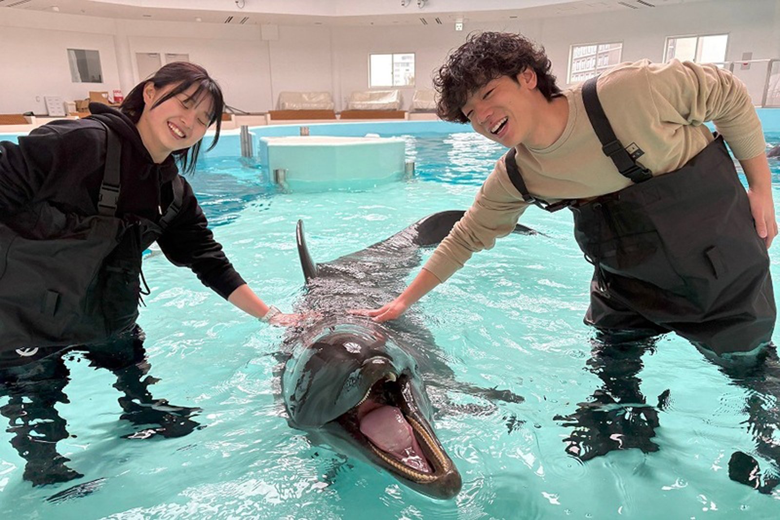 ノアドルフィンドームでイルカに触れている様子