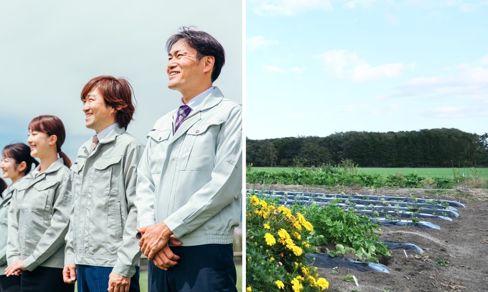 中小企業で働く人々と農地を組み合わせた、堺市の農業者・中小企業者支援のイメージ画像