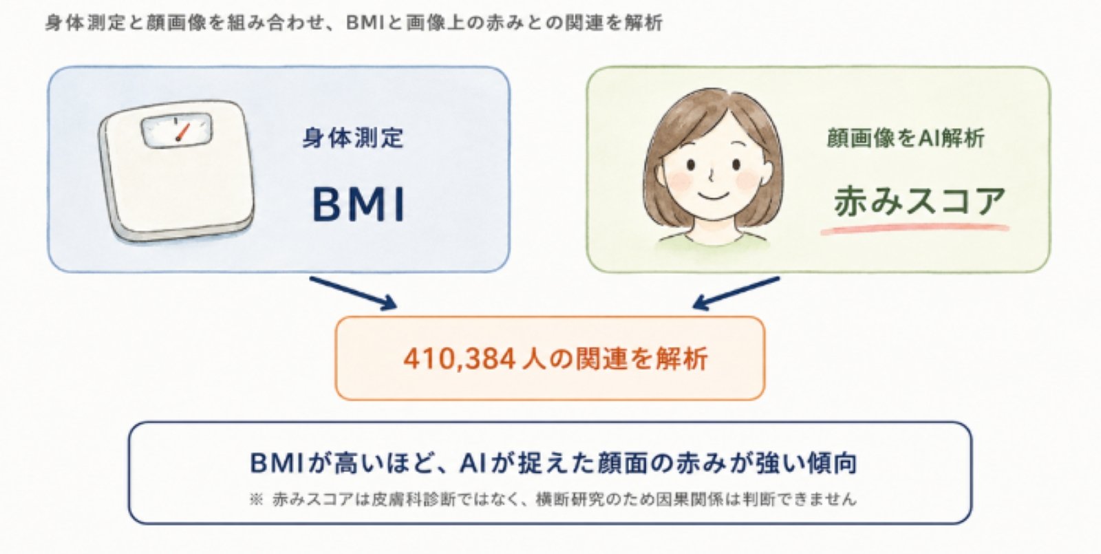 身体測定によるBMIとAIによる顔画像の赤みスコアを組み合わせ、41万384人の関連を解析した研究の概要図