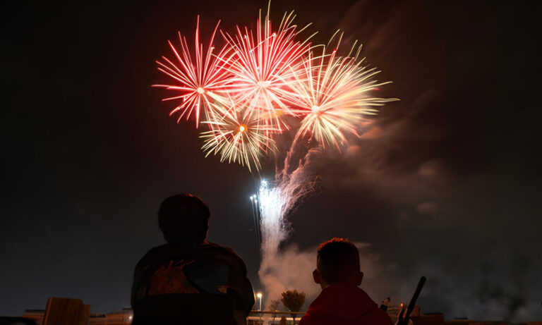 原池公園で11月1日「一輪花 堺花火まつり」　夜空に花火1000発