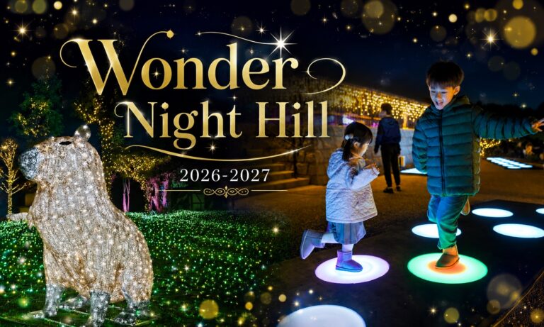 ハーベストの丘の「Wonder Night Hill」