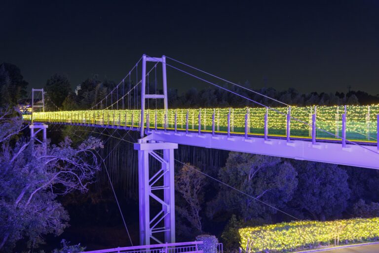 ハーベストの丘の「Wonder Night Hill」