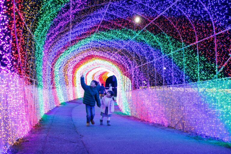 ハーベストの丘の「Wonder Night Hill」