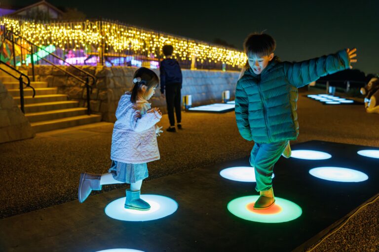 ハーベストの丘の「Wonder Night Hill」