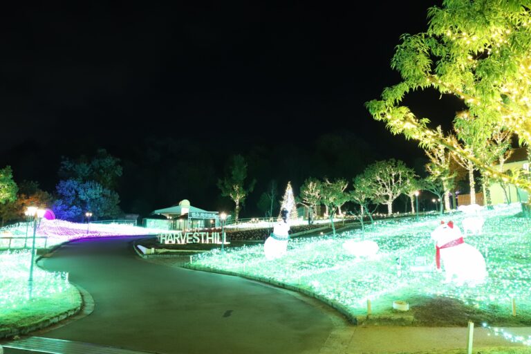 ハーベストの丘の「Wonder Night Hill」